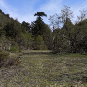 2 terrenos 5.000 m2 colindantes - Solo a 4km de Corralco