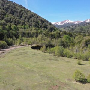 2 terrenos 5.000 m2 colindantes - Solo a 4km de Corralco