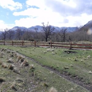 Valle Caracoles Etapa 1 – Malalcahuello
