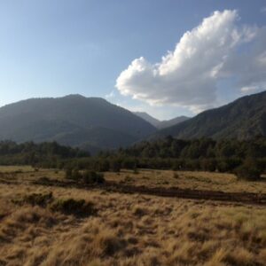Valle Caracoles Etapa 2 – Malalcahuello