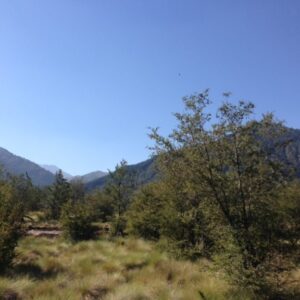 Valle Caracoles Etapa 2 – Malalcahuello