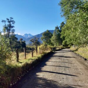 Terrenos sector Caracoles, Malalcahuello - Simple Sur (2)