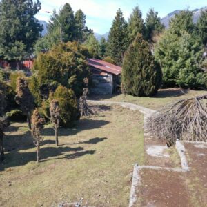 Terreno en pueblo Malalcahuello - Simple Sur (10)