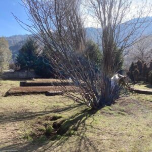Terreno en pueblo Malalcahuello - Simple Sur (11)