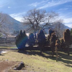 Terreno en pueblo Malalcahuello - Simple Sur (14)