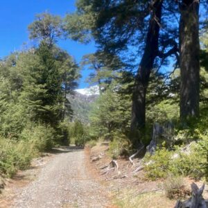 Malalcahuello, Terreno en sector Sierra Nevada - Simple Sur (15)