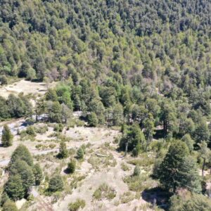 Malalcahuello, Terreno en sector Sierra Nevada - Simple Sur (5)