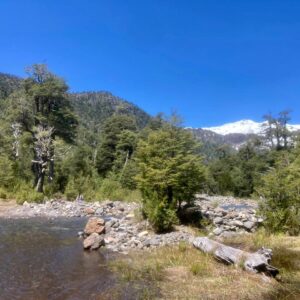Malalcahuello, Terreno en sector Sierra Nevada - Simple Sur (9)