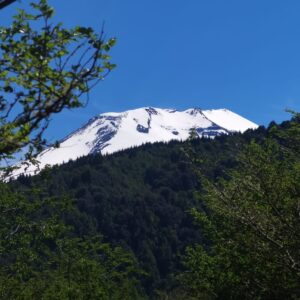 Malalcahuello, Terrenos de 5.000m2 - Malalcahuello, Simple Sur (12)