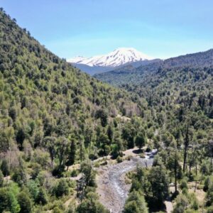 Malalcahuello, terreno sector Sierra Nevada - Simple Sur