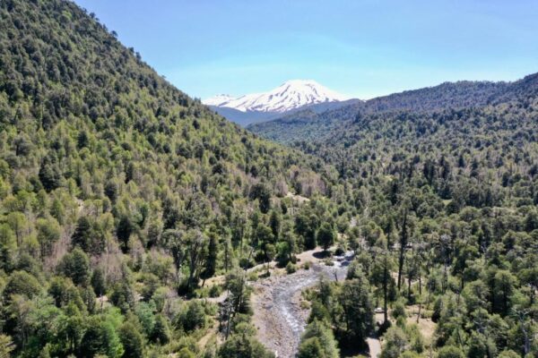 Malalcahuello, terreno sector Sierra Nevada - Simple Sur