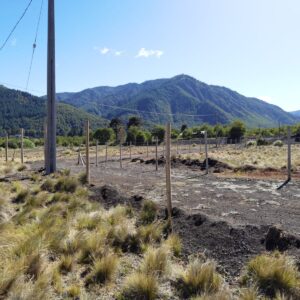 Terrenos de 5.000 m2, Pueblo Malalcahuello - Simple Sur (9)