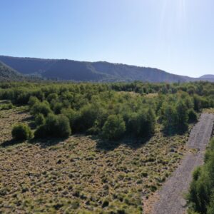 Terreno de 5.000 m2 en sector Caracoles, Malalcahuello - Simple Sur, Corralco (18)