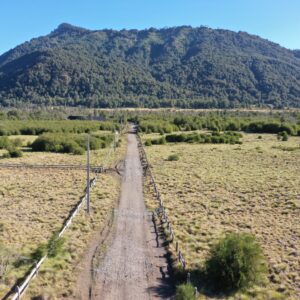 Terreno de 5.000 m2 en sector Caracoles, Malalcahuello - Simple Sur, Corralco (19)