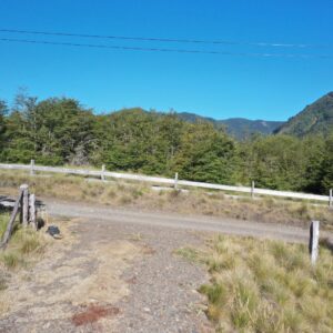 Terreno de 5.000 m2 en sector Caracoles, Malalcahuello - Simple Sur, Corralco (2)