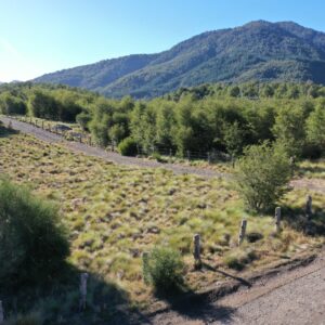 Terreno de 5.000 m2 en sector Caracoles, Malalcahuello - Simple Sur, Corralco (6)