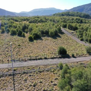 Terreno de 5.000 m2 en sector Caracoles, Malalcahuello - Simple Sur, Corralco (7)