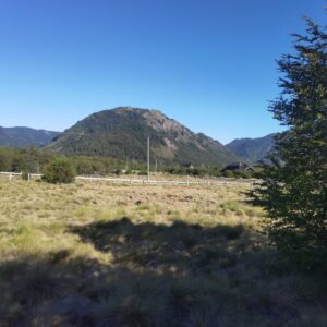 Terreno en sector Caracoles, Malalcahuello - Simple Sur, Corralco (3)