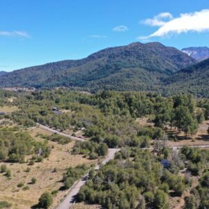 Terreno de 5.000m2 en sector Residencial, Malalcahuello - Sector Caracoles (9)