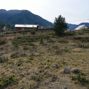 Sitios en Pueblo Malalcahuello - Simple Sur, Malalcahuello (5)