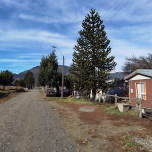 Terreno + Casa en pueblo Malalcahuello - Simple Sur, Malalcahuello (4)