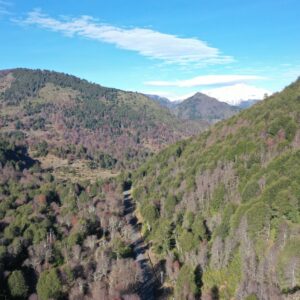 Terreno camino a Corralco, Malalcahuello - Simple Sur (16)