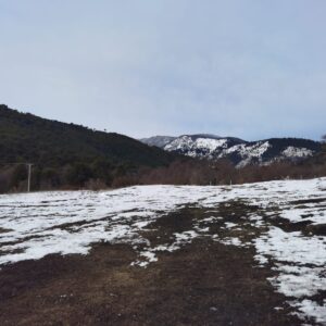 Terreno de 3 ha. camino al centro Ski Corralco - Simple Sur, Malalcahuello (17)