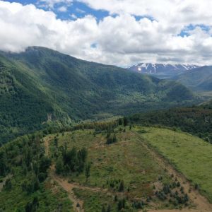 Predio de 5.000 m2, sector Salto La Princesa - Malalcahuello. Inmobiliaria Simple Sur, Malalcahuello - Corralco (1)