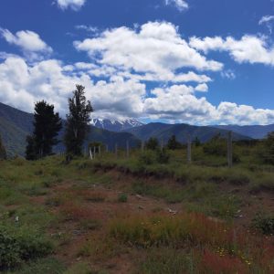 Predio de 5.000 m2, sector Salto La Princesa - Malalcahuello. Inmobiliaria Simple Sur, Malalcahuello - Corralco (10)