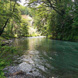 Predio de 5.000 m2, sector Salto La Princesa - Malalcahuello. Inmobiliaria Simple Sur, Malalcahuello - Corralco (18)