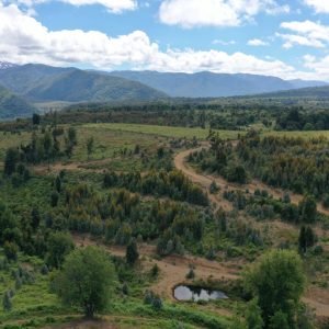 Predio de 5.000 m2, sector Salto La Princesa - Malalcahuello. Inmobiliaria Simple Sur, Malalcahuello - Corralco (2)