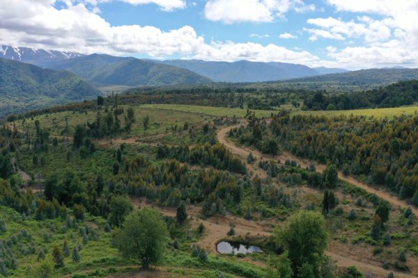 Predio de 5.000 m2, sector Salto La Princesa - Malalcahuello. Inmobiliaria Simple Sur, Malalcahuello - Corralco (2)