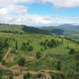 Predio de 5.000 m2, sector Salto La Princesa - Malalcahuello. Inmobiliaria Simple Sur, Malalcahuello - Corralco (29)