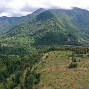 Predio de 5.000 m2, sector Salto La Princesa - Malalcahuello. Inmobiliaria Simple Sur, Malalcahuello - Corralco (31)