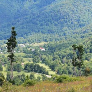 Predio de 5.000 m2, sector Salto La Princesa - Malalcahuello. Inmobiliaria Simple Sur, Malalcahuello - Corralco (8)