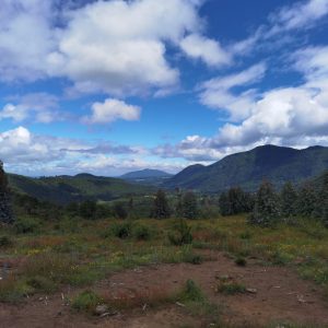 Predio de 5.000 m2, sector Salto La Princesa - Malalcahuello. Inmobiliaria Simple Sur, Malalcahuello - Corralco (9)