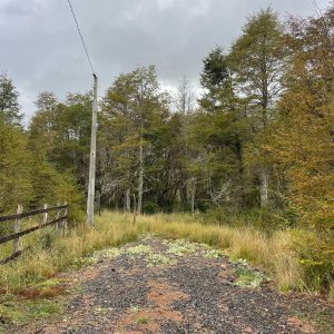 Terreno 5.000 m2, sector Caracoles, Malalcahuello - Inmobiliaria Simple Sur, Malalcahuello, Corralco (1)