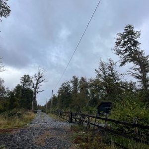 Terreno 5.000 m2, sector Caracoles, Malalcahuello - Inmobiliaria Simple Sur, Malalcahuello, Corralco (11)