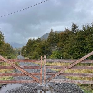 Terreno 5.000 m2, sector Caracoles, Malalcahuello - Inmobiliaria Simple Sur, Malalcahuello, Corralco (2)