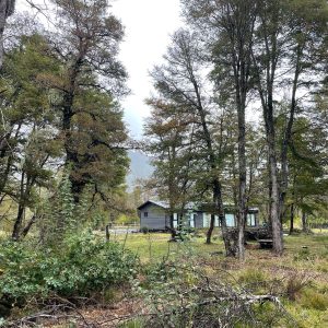 Terreno 5.000 m2, sector Caracoles, Malalcahuello - Inmobiliaria Simple Sur, Malalcahuello, Corralco (7)