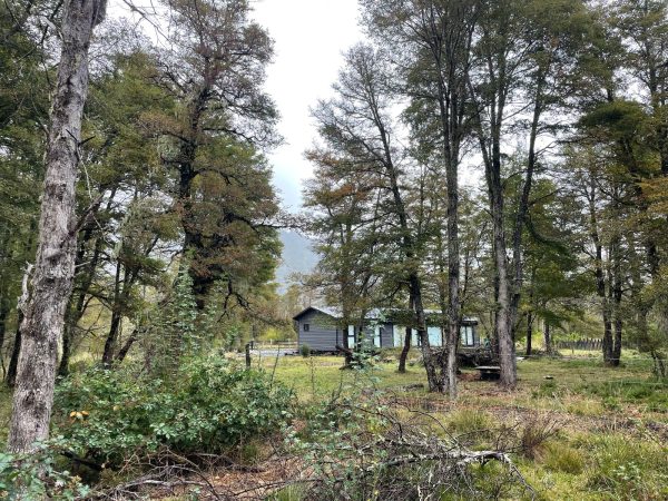 Terreno 5.000 m2, sector Caracoles, Malalcahuello - Inmobiliaria Simple Sur, Malalcahuello, Corralco (7)