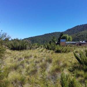 Terreno 5.000 m2 con vista al río Cautín, pueblo Malalcahuello - Inmobiliaria Simple Sur (Malalcahuello - Corralco) (10)