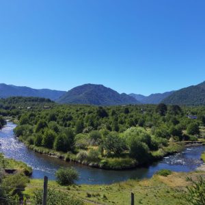 Terreno 5.000 m2 con vista al río Cautín, pueblo Malalcahuello - Inmobiliaria Simple Sur (Malalcahuello - Corralco) (11)