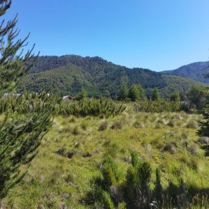 Terreno 5.000 m2 con vista al río Cautín, pueblo Malalcahuello - Inmobiliaria Simple Sur (Malalcahuello - Corralco) (5)
