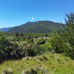 Terreno 5.000 m2 con vista al río Cautín, pueblo Malalcahuello - Inmobiliaria Simple Sur (Malalcahuello - Corralco) (7)