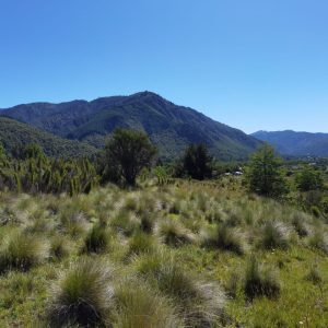 Terreno 5.000 m2 con vista al río Cautín, pueblo Malalcahuello - Inmobiliaria Simple Sur (Malalcahuello - Corralco) (8)