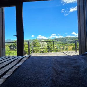 Terreno 5.380 m2 y casa de 160 m2, en condominio La Helvetia, Malalcahuello - Inmobiliaria Simple Sur, Malalcahuello - Corralco - La Helvetia (40)