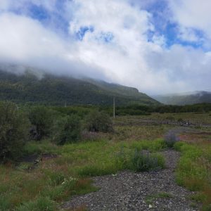 Terreno 5.000 m2 + Quincho en Malalcahuello, Sector Caracoles - Inmobiliaria Simple Sur, Malalcahuello - Corralco - Sector Caracoles (3)