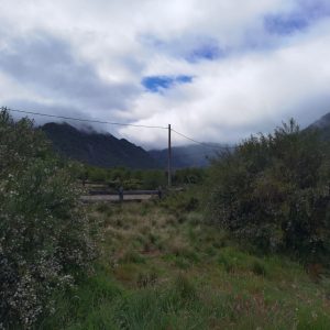 Terreno 5.000 m2 + Quincho en Malalcahuello, Sector Caracoles - Inmobiliaria Simple Sur, Malalcahuello - Corralco - Sector Caracoles (4)