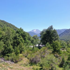 Terreno de 1.4 Ha. en Malalcahuello, sector Caracoles - Inmobiliaria Simple Sur, Malalcahuello - Corralco - Sector Caracoles (12)